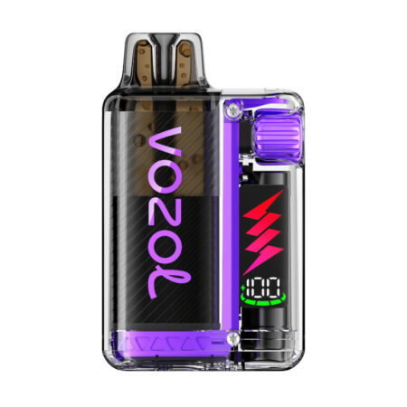 VOZOL Vista Plug 10000 - Starter Kit - Blueberry Raspberry Lemon