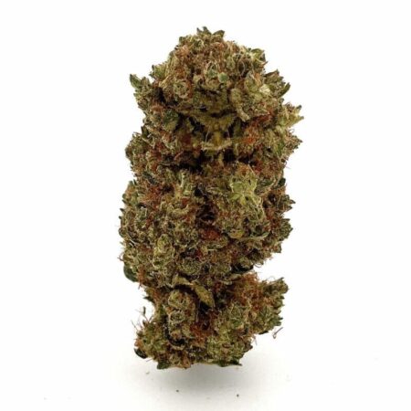 Orange Bud Blüten 1g