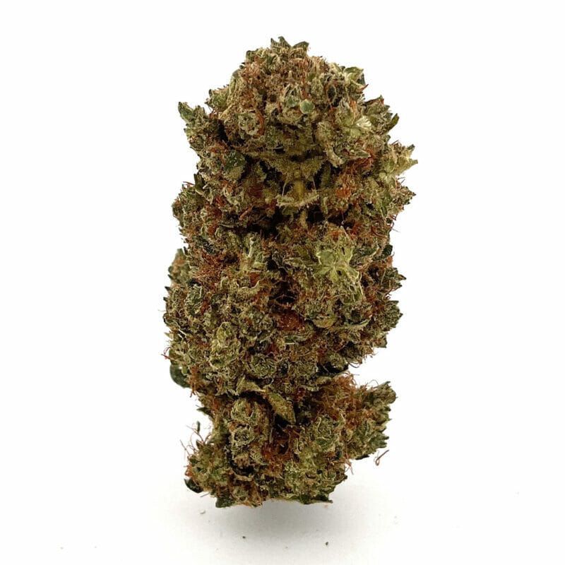 Orange Bud Blüten 3g
