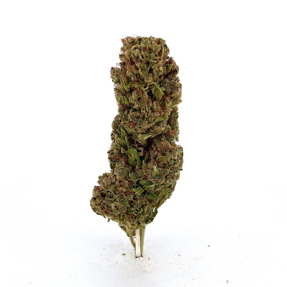 Fruit Punch 20g